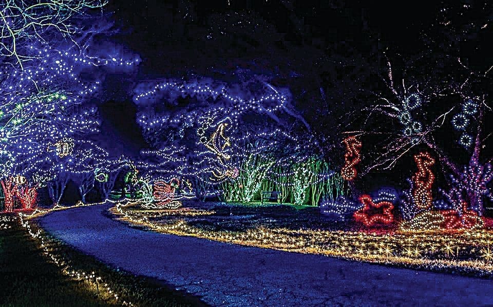 A winding path glows through a night garden lit with blue, white, and gold string lights, with red light sculptures.