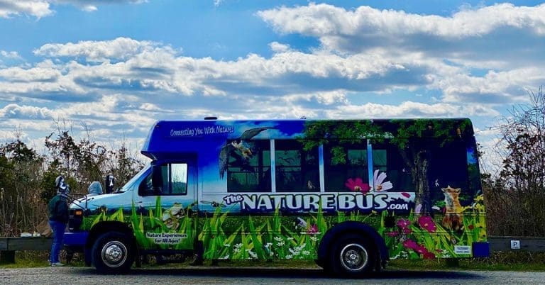 The Nature Bus