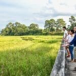 Getaway to Smithfield
