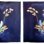 Spring Arts Featured