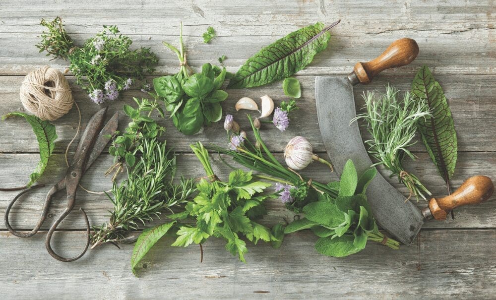 Fresh herbs, garlic, and flowers laid on weathered wood beside a twine spool, rusty shears, and a wooden-handled mezzaluna.