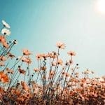 Patient First Spring Allergies