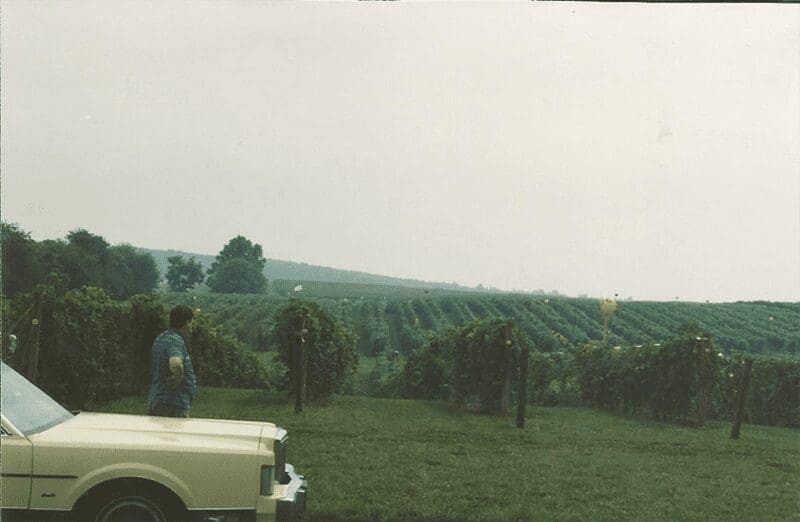 PLANTING PIONEER The late Dennis Horton of Horton Vineyards put Virginia on the wine map by successfully growing the viognier varietal and was a champion of Virginia's native Norton grape.