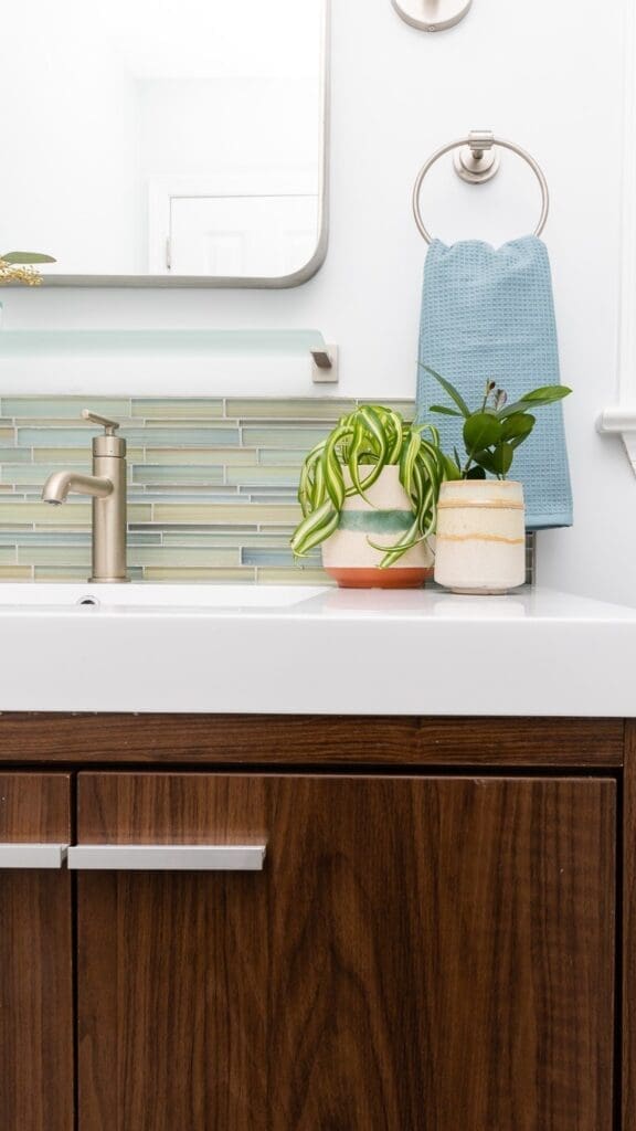 Bathroom remodel with green plants, photo by Lianna Pevar