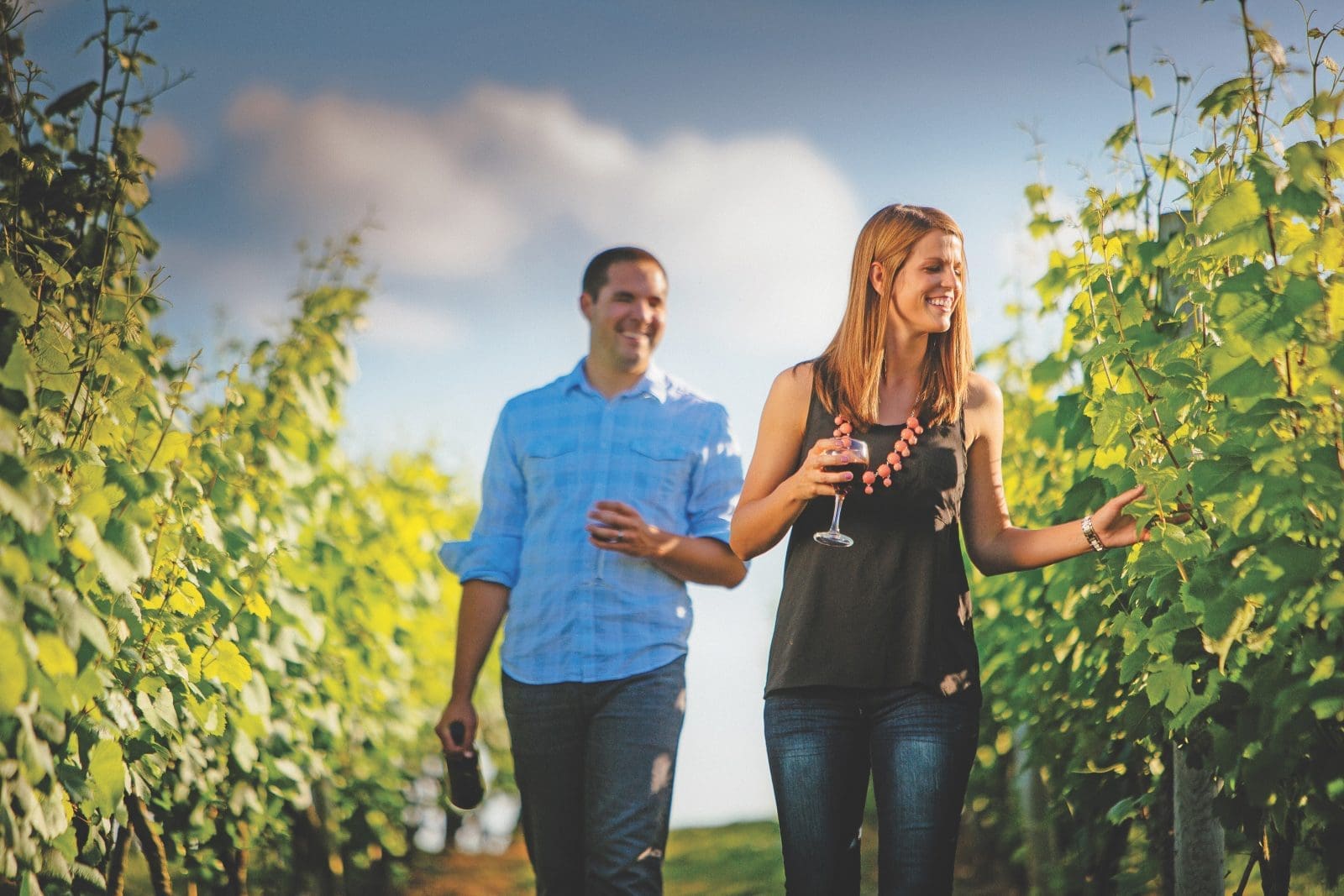 Visit Virginia's Blue Ridge, wine