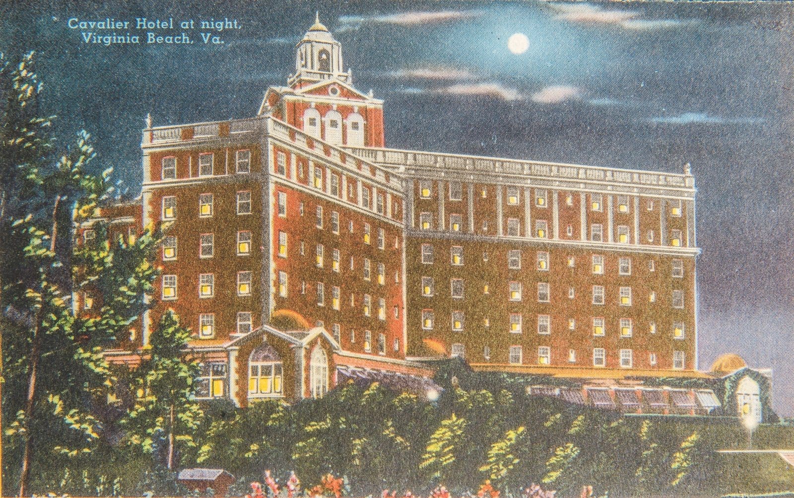 Cavalier postcard