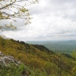 Spring overlook of rolling green mountain ridges under cloudy sky, with a large gray rock and budding trees in the foreground.