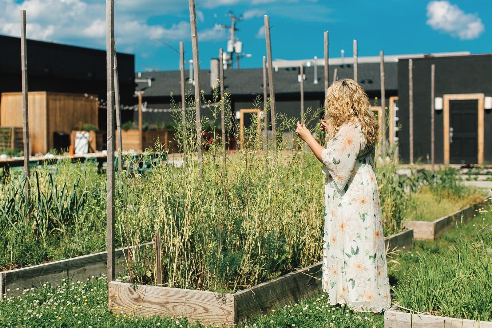 Esoteric Virginia Beach, restaurants with gardens
