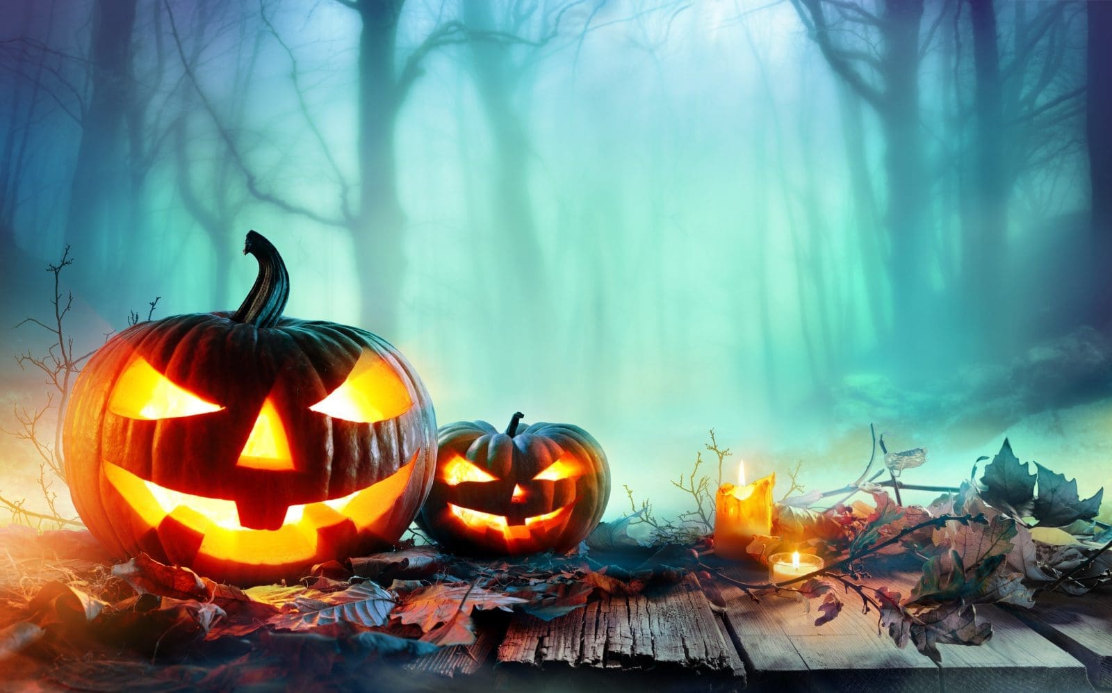 Halloween, Williamsburg, Busch Gardens, Howl-O-Scream