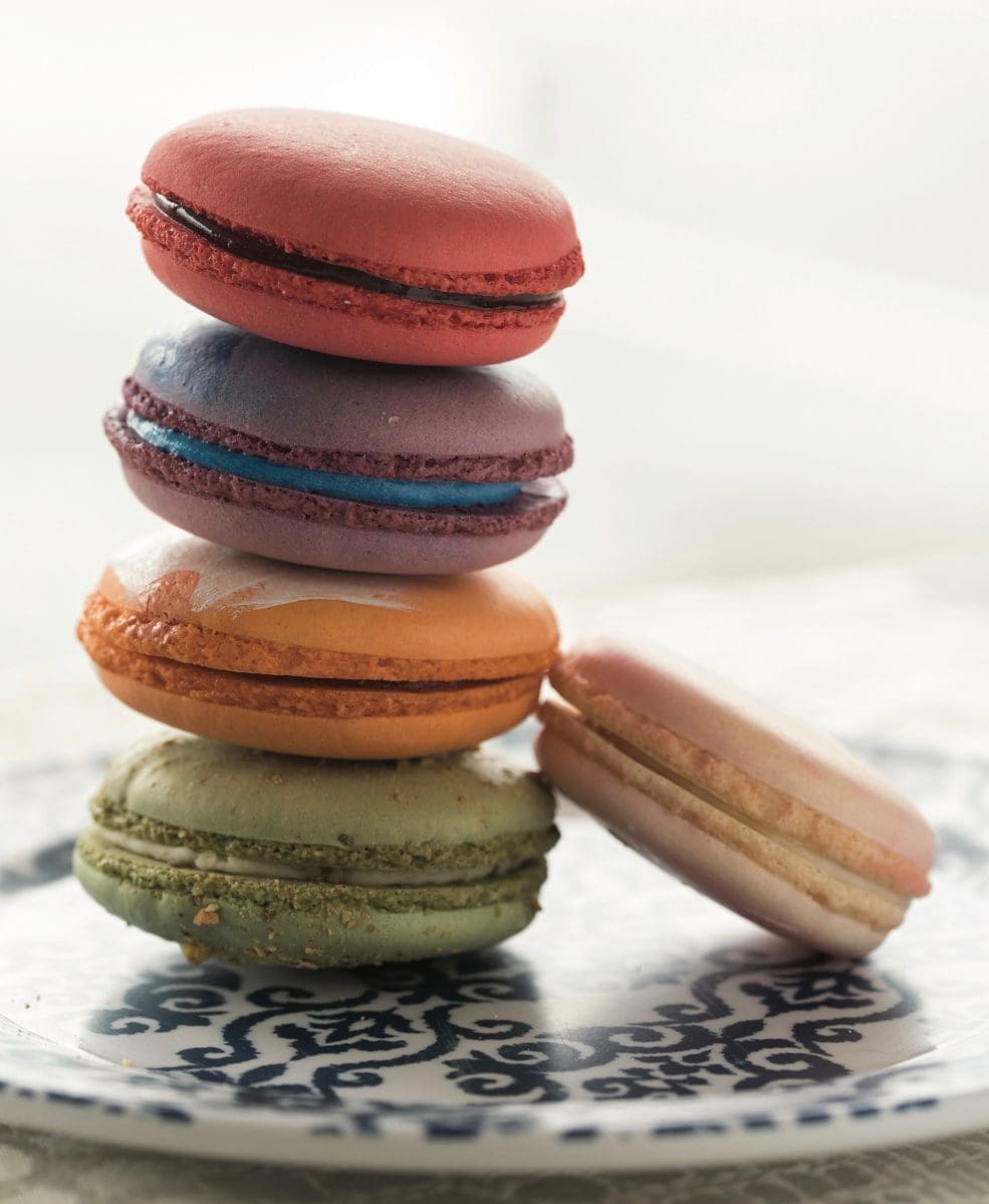 Hummingbird Macarons