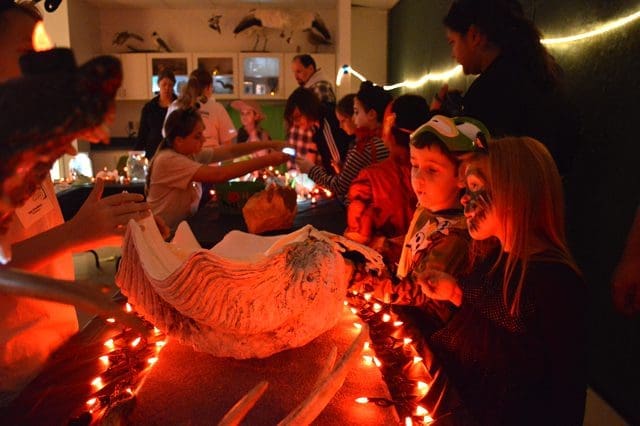 Night of the Living Museum, Newport News