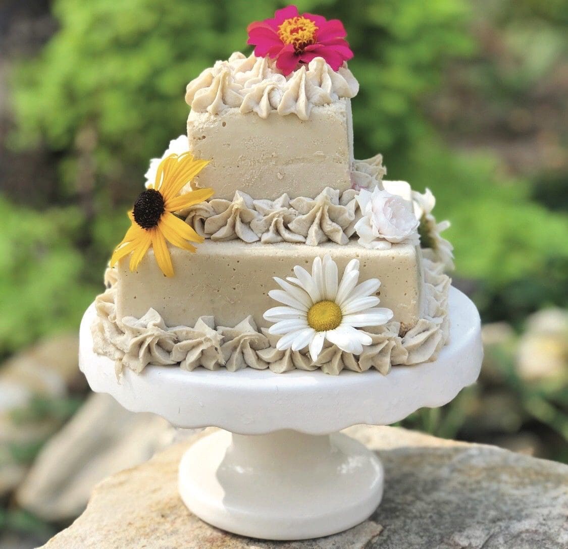 Empowered Plant Cakes desserts
