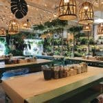 Bright plant shop interior with green workbenches, woven pendant lamps, hanging plants, and jars of supplies under string lights.