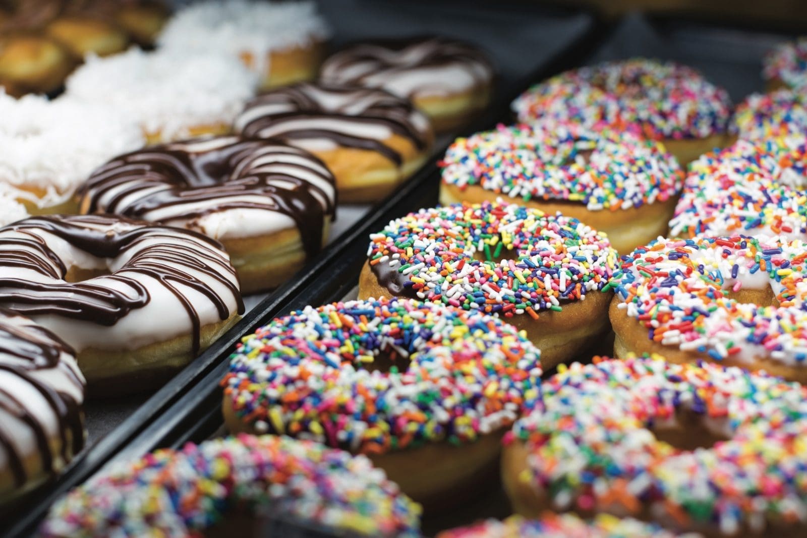 Sugar Plum Bakery donuts