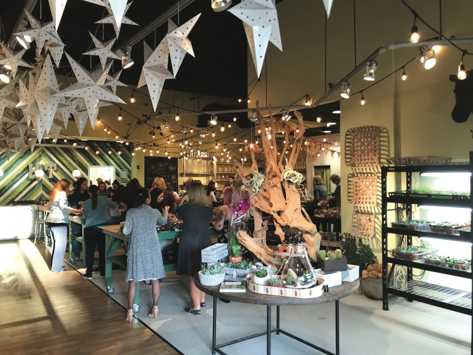 Tipsy Terrarium workshop at Hinterland Trading, Virginia Beach