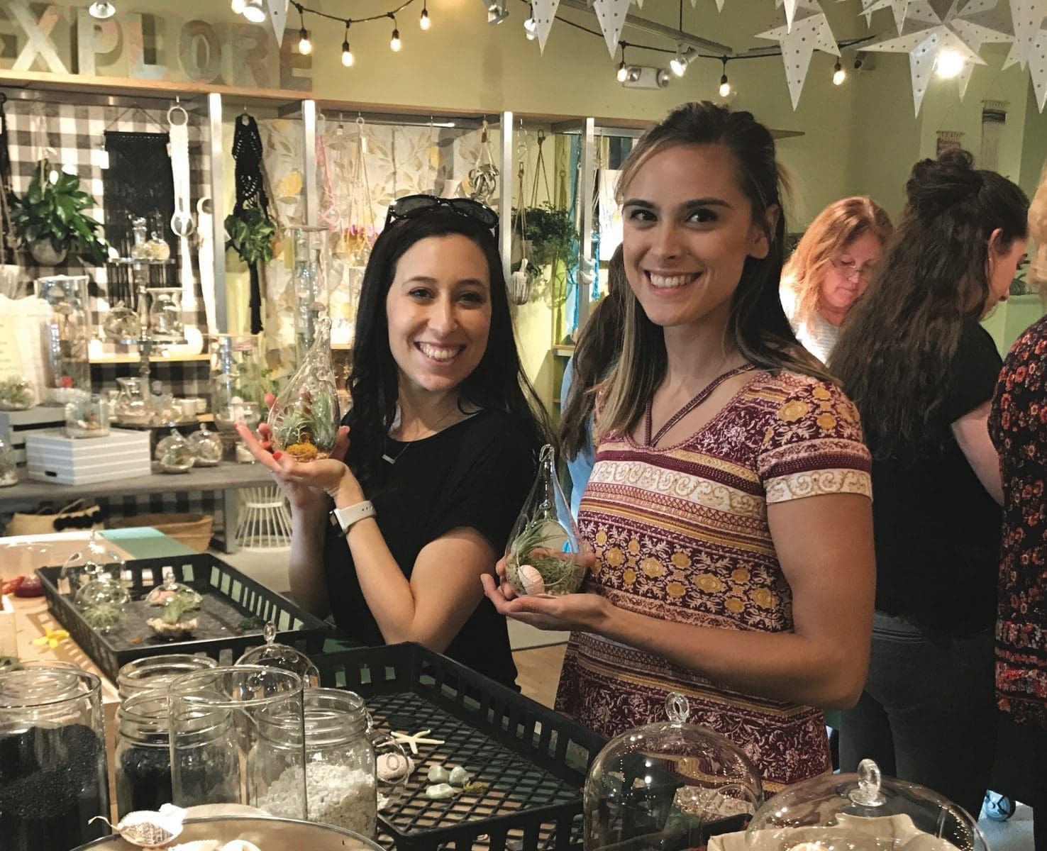 Tipsy Terrariums, Hinterland Trading