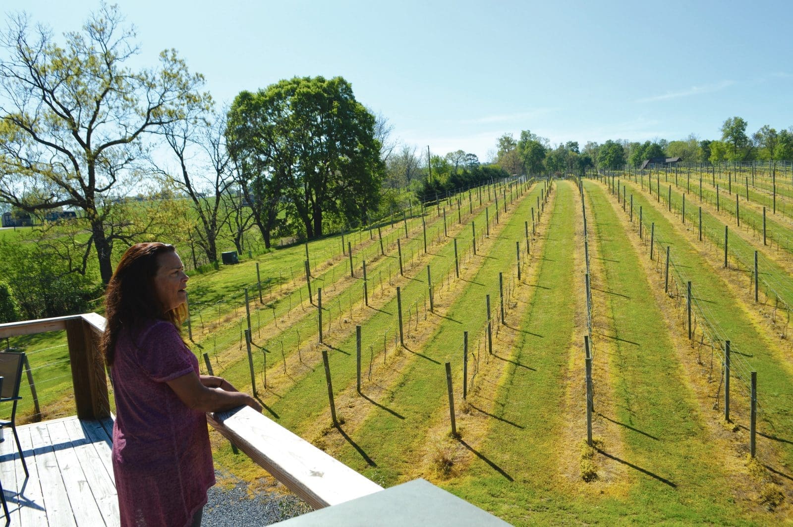 Third Hill Winery