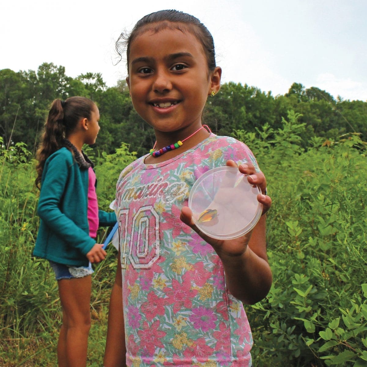 Virginia Nature Conservancy, Eastern Shore, butterfly catching, Northampton County
