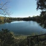 A calm lake framed by bare and evergreen trees, with a wooden deck overlooking the water on a sunny day.