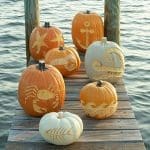 Coastal Pumpkin