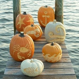 Coastal Pumpkin