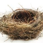 An empty bird's nest woven from dry grasses, twigs and fine fibers, shown against a white background.