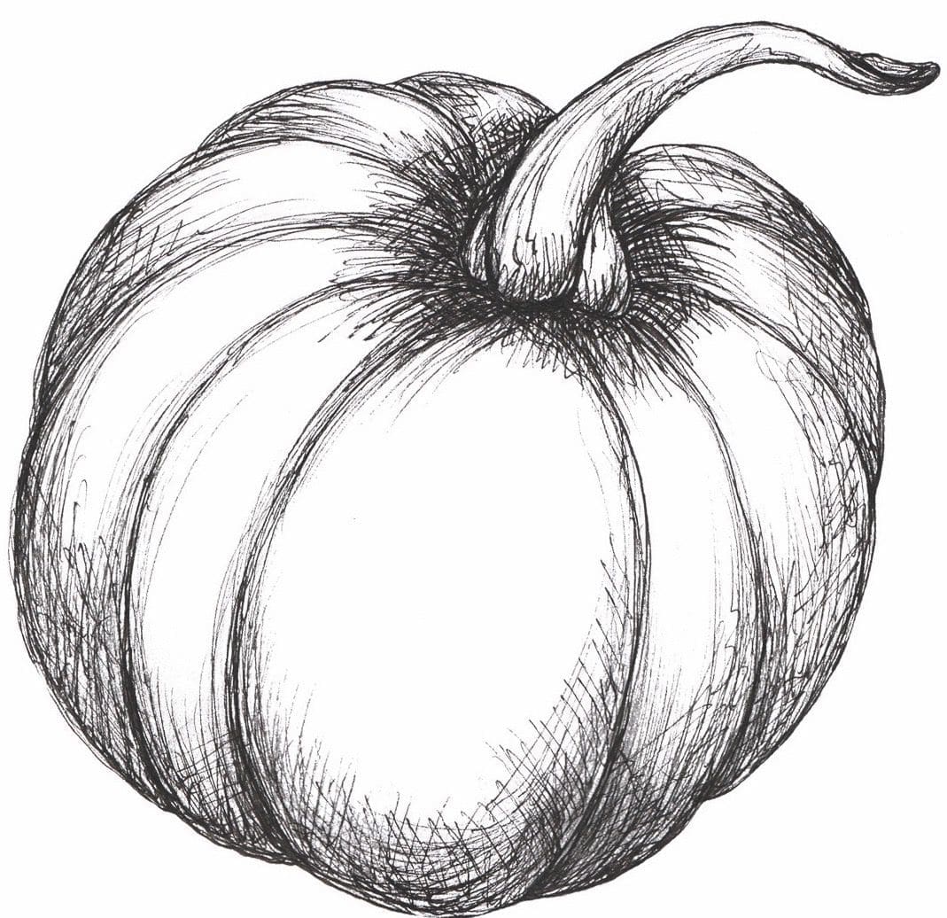 pumpkin, Thanksgiving restaurants to visit
