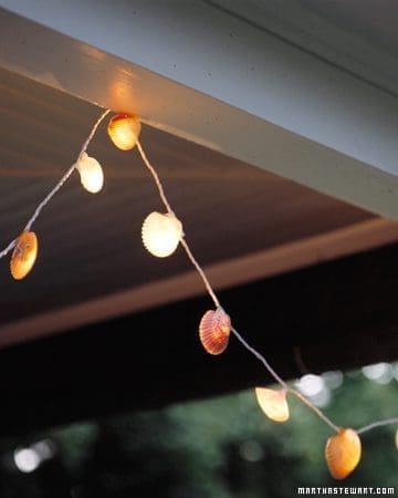 seashell lights