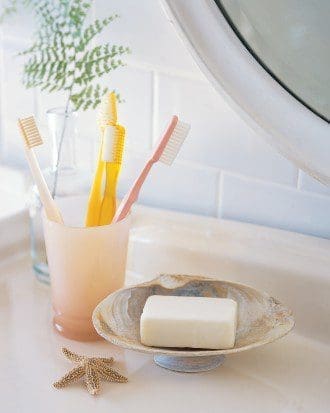 seashell soap dish