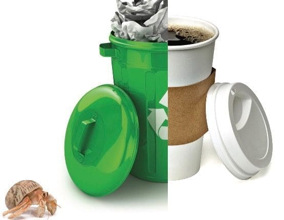 A split image of a green recycling bin with crumpled paper beside a white coffee cup with cork sleeve, plus a hermit crab.