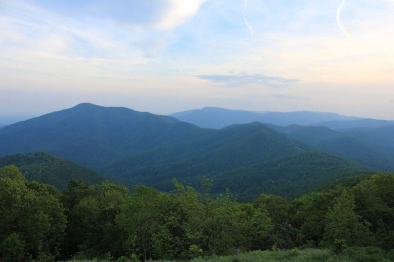 Hazy blue-green Blue Ridge mountain ridges rolling under a pale sky, with trees in the foreground.