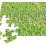 Beautiful green mowed lawn in puzzle shape on white background