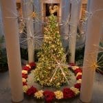 D2016-JBC-1202-0001 Christmas Tree in Penny Court - 2016