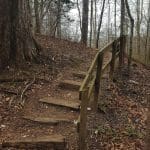 Wooden stair steps with a handrail climb a leaf-covered hillside through bare winter trees on a nature trail.